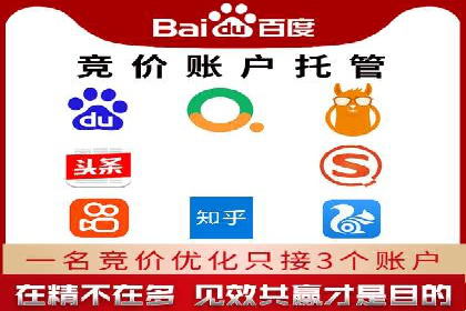 SEM推广代运营案例深度剖析